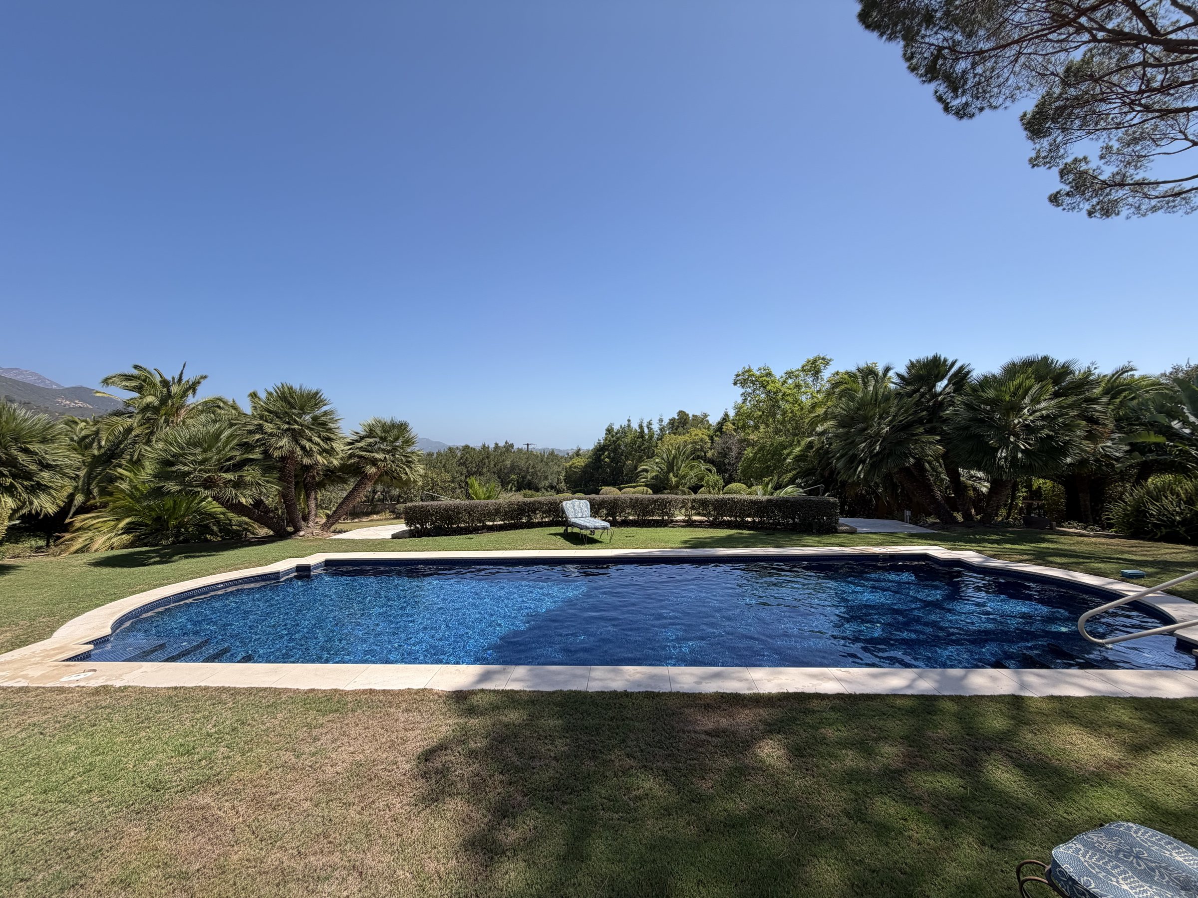 VisoPools-maintained pool surrounded by a landscaped garden in Santa Barbara